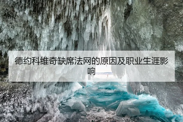 德约科维奇缺席法网的原因及职业生涯影响 | Niuba